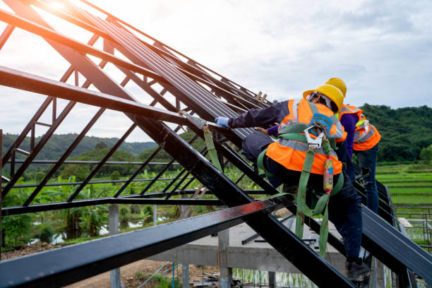 Best New Roof Installation  in Naples, UT