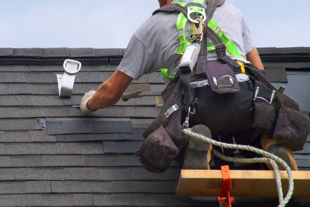 Professional Roofing Contractor in Naples, UT