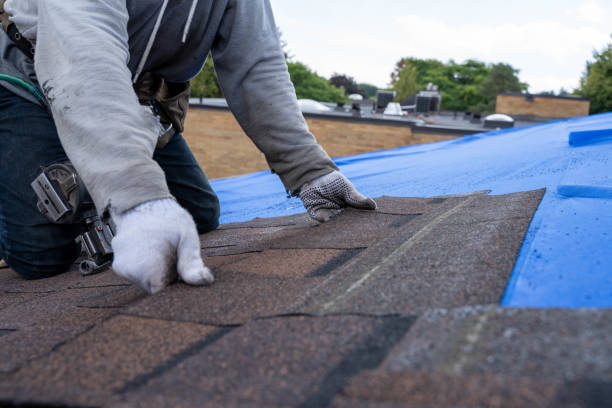 Best Flat Roof Repair Services  in Naples, UT