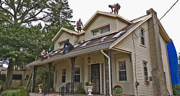 Best Shingle Roofing Installation  in Naples, UT