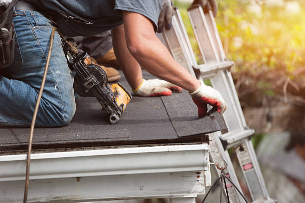 Best Storm Damage Roof Repair  in Naples, UT